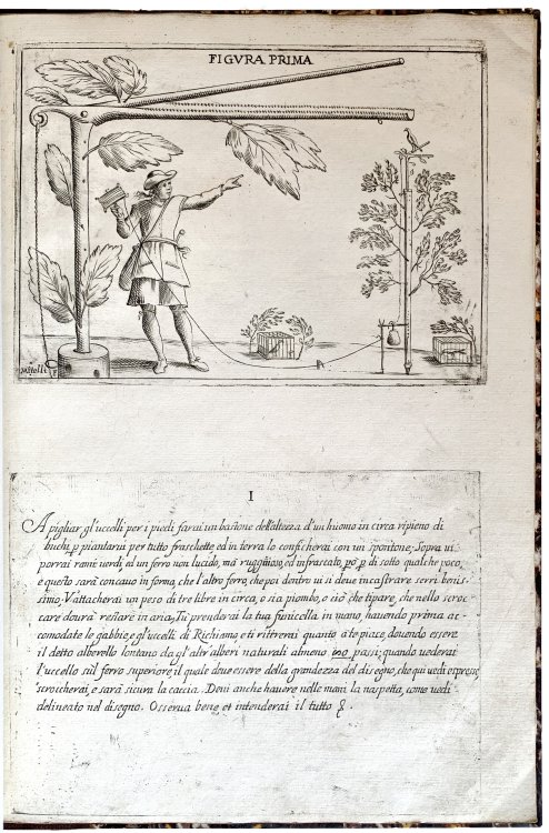 Image for La caccia giocosa: invenzioni di Gioseffo Maria Mitelli, pittore bolognese, da lui effettivamente sperimentate e dedicate a chi si diletta di caccia. La caccia giocosa: invenzioni di Gioseffo Maria Mitelli, pittore bolognese, da lui effettivamente sperimentate e dedicate a chi si diletta di caccia.