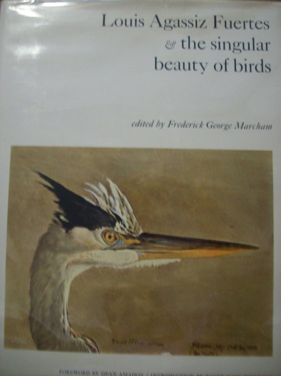 Image for Louis Agassiz Fuertes & the Singular Beauty of Birds Louis Agassiz Fuertes & the Singular Beauty of Birds