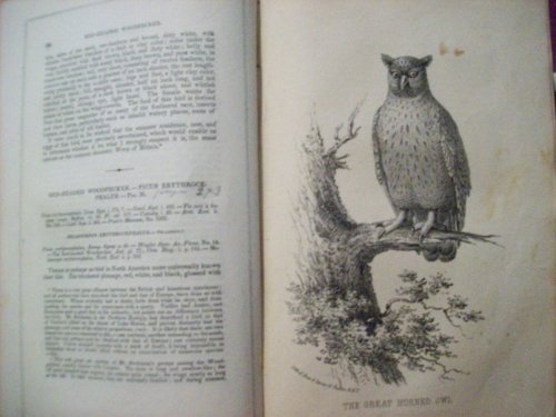 Wilson's American Ornithology with Notes By Jardine: To Which is Added A Synopsis of American Birds, Including Those Descibed By Bonaparte, Audubon, Nuttall, and Richardson