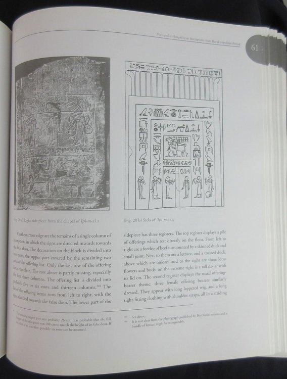 Image for Necropoles Memphiticae; Inscriptions from the Herakleopolitan Period Necropoles Memphiticae; Inscriptions from the Herakleopolitan Period