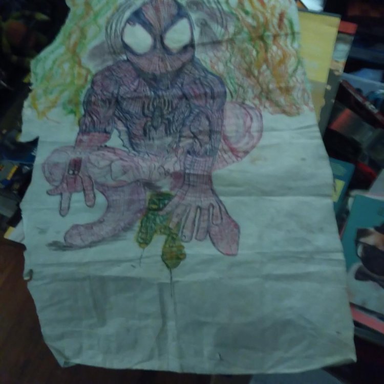 Image for Spider-Man Spider-Man